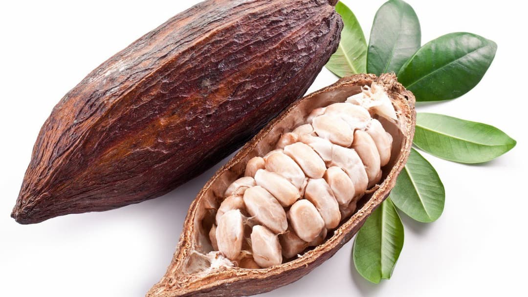 Порошок какао