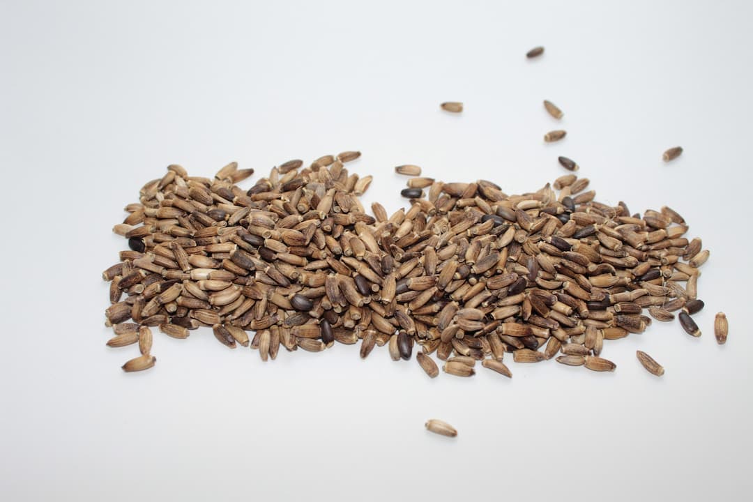 Экстракт семян расторопши