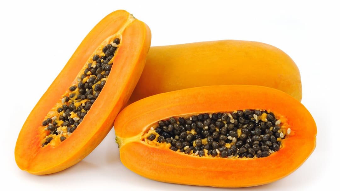 Порошок сока папайи